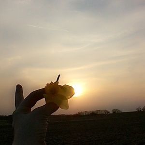 Meet your Posher, Whitney